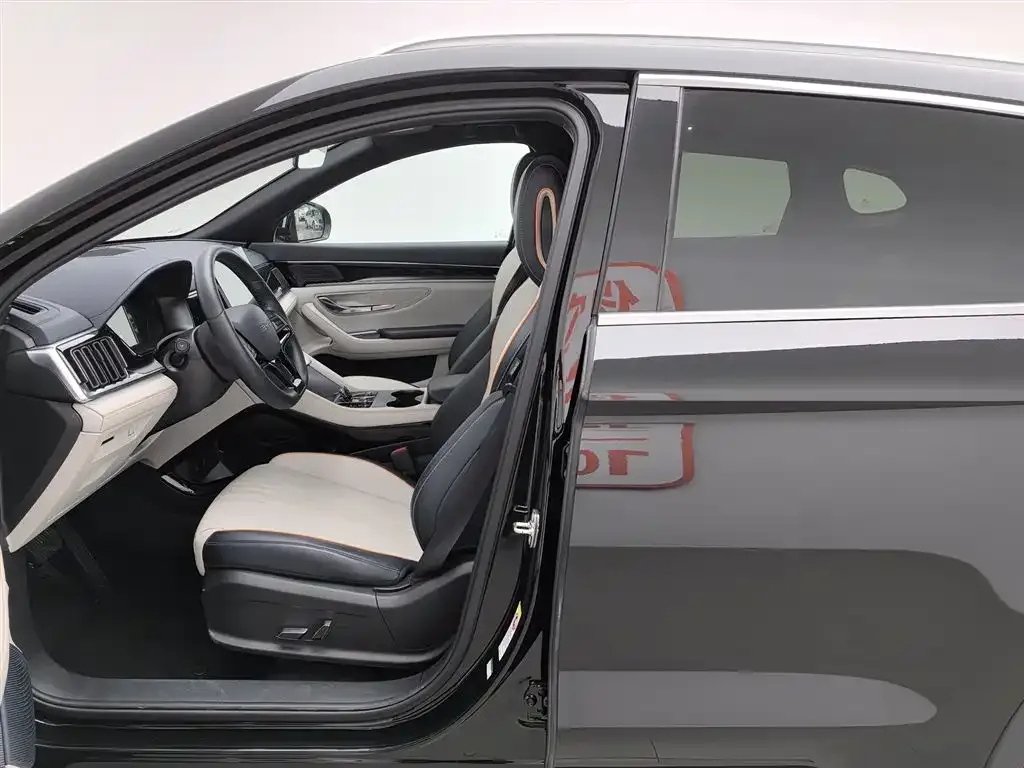 BYD PLUS New Energy — фото 10