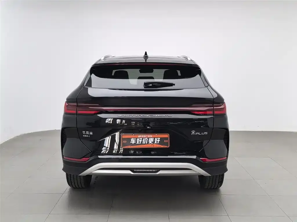 BYD PLUS New Energy — фото 4