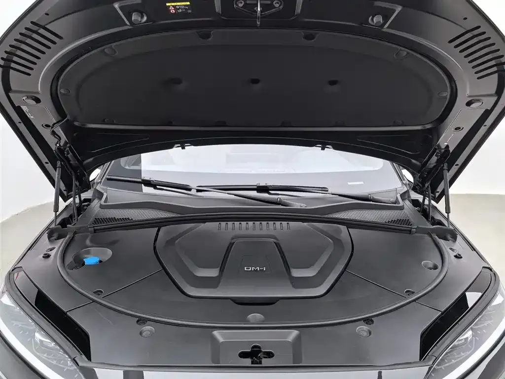 BYD PLUS New Energy — фото 9
