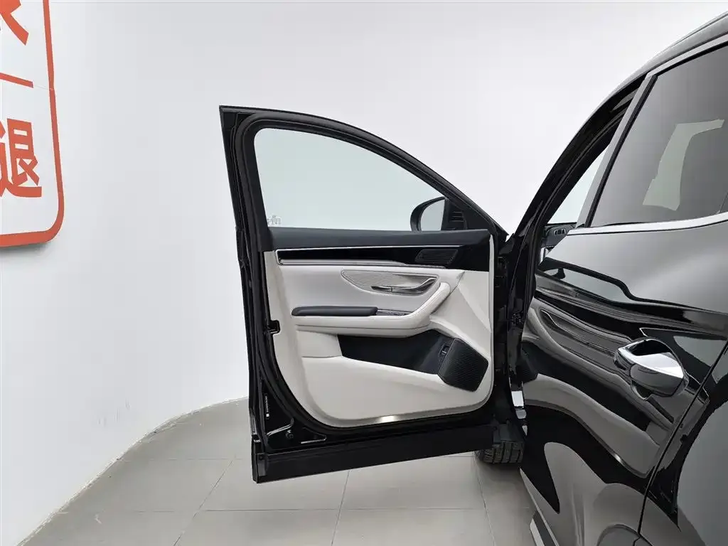 BYD PLUS New Energy — фото 5