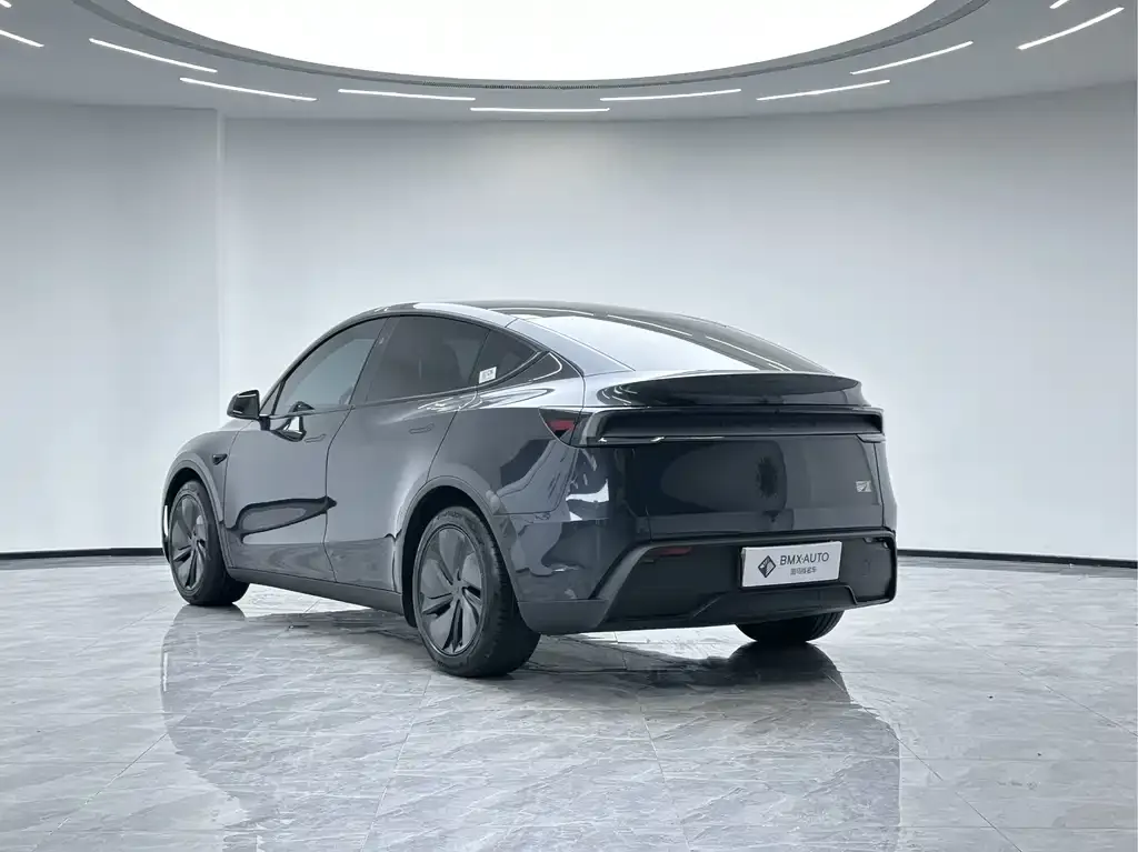 Tesla Model Y — фото 10