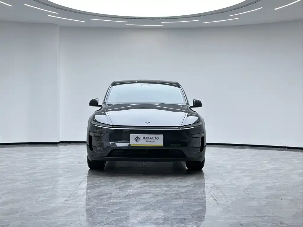 Tesla Model Y — фото 5