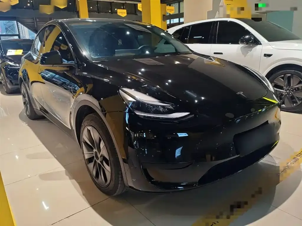 Tesla Model Y — фото 10