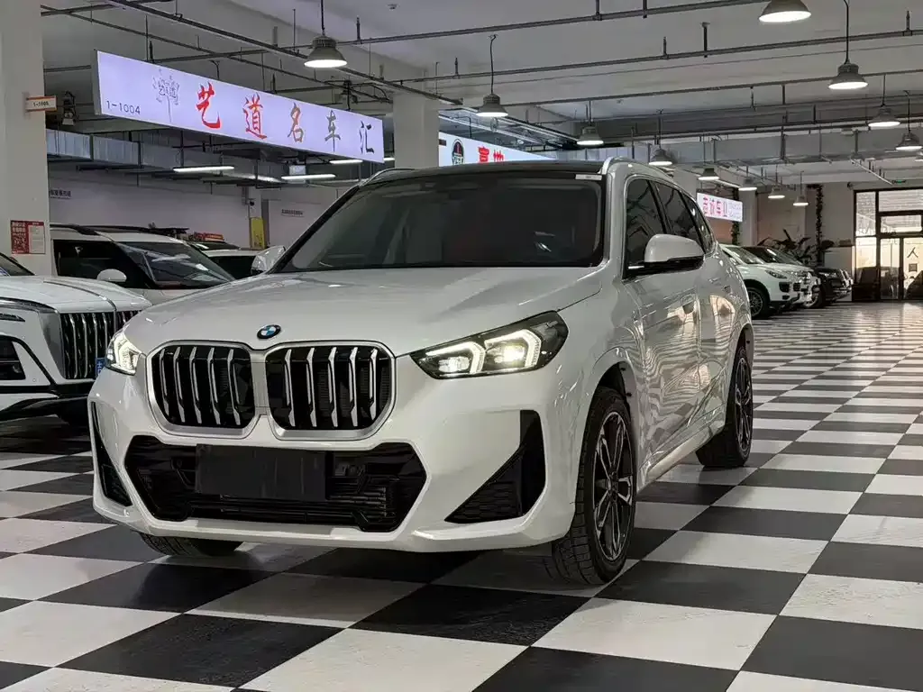 BMW X1 — фото 1