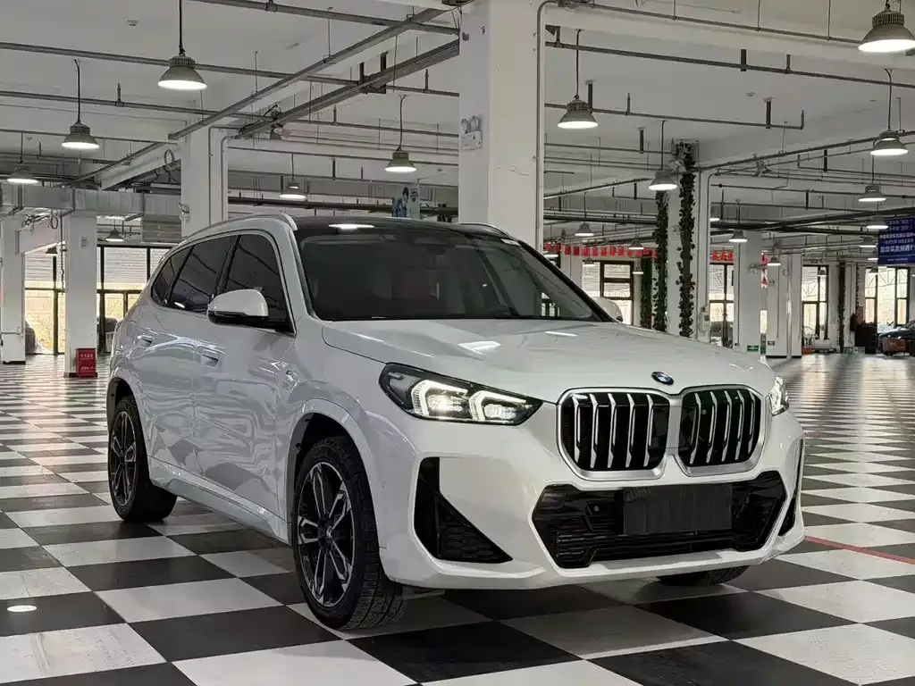 BMW X1 — фото 2