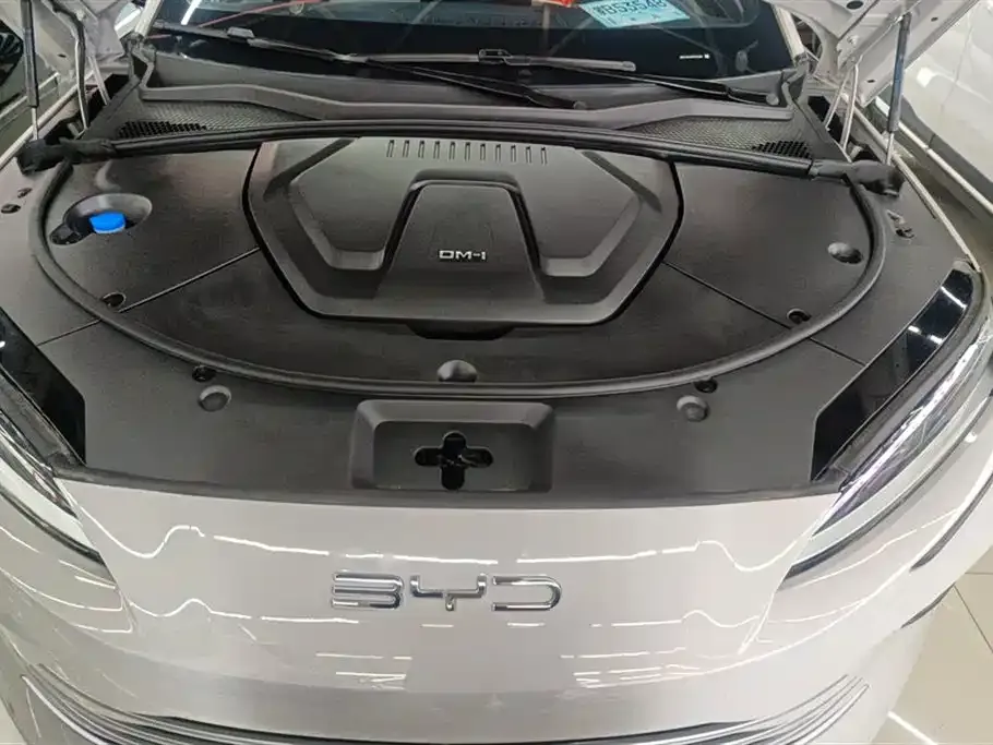 BYD PLUS New Energy — фото 8