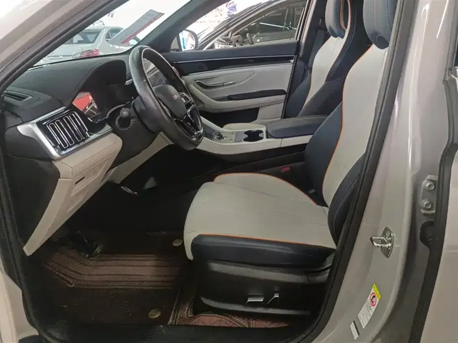 BYD PLUS New Energy — фото 10