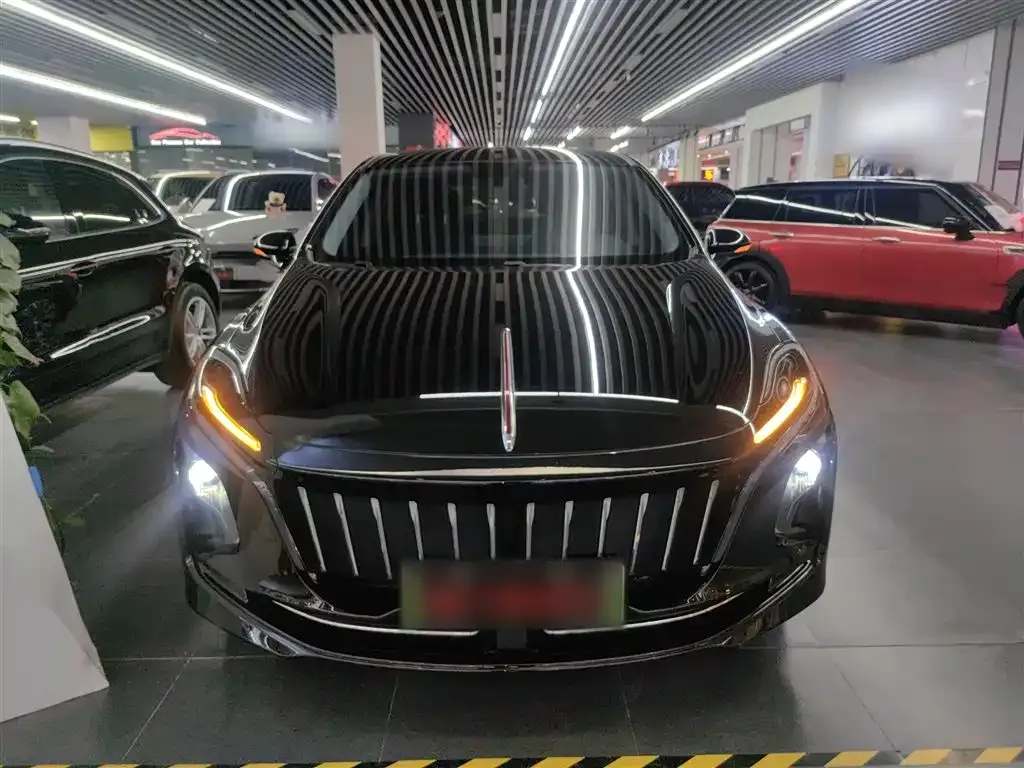 Hongqi E-QM5 — фото 3