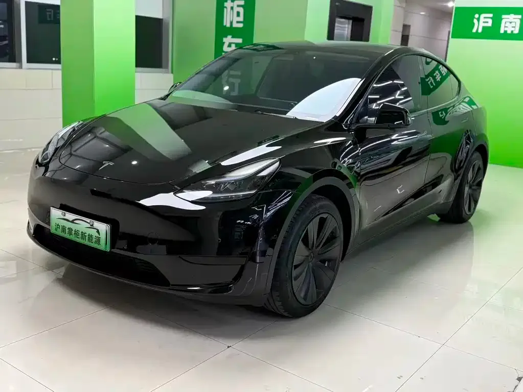 Tesla Model Y — фото 1