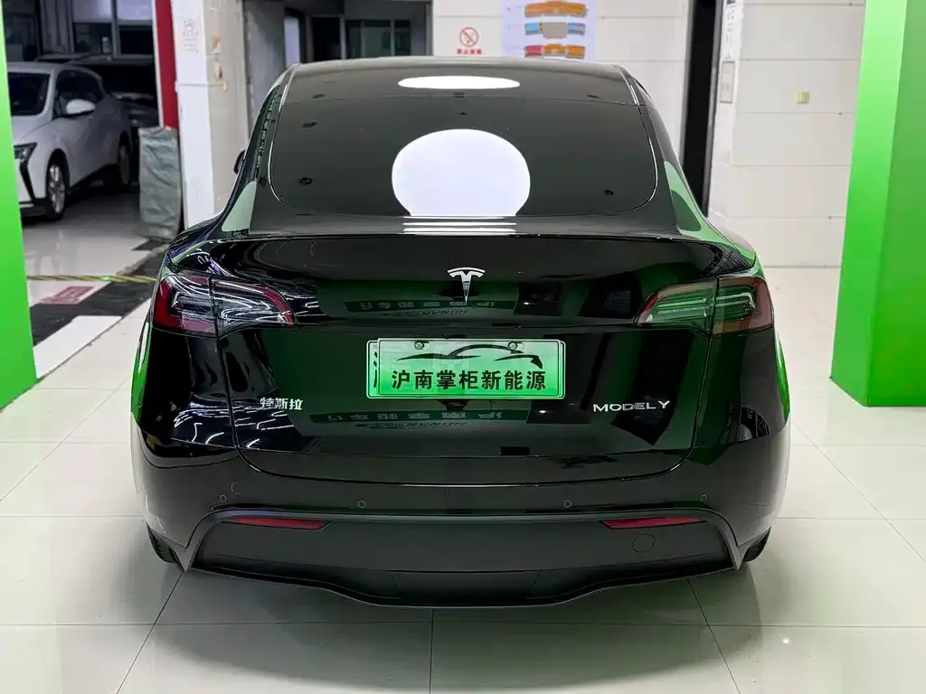 Tesla Model Y — фото 5