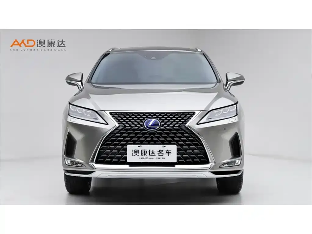Lexus RX — фото 10