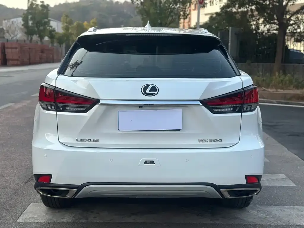 Lexus RX — фото 3