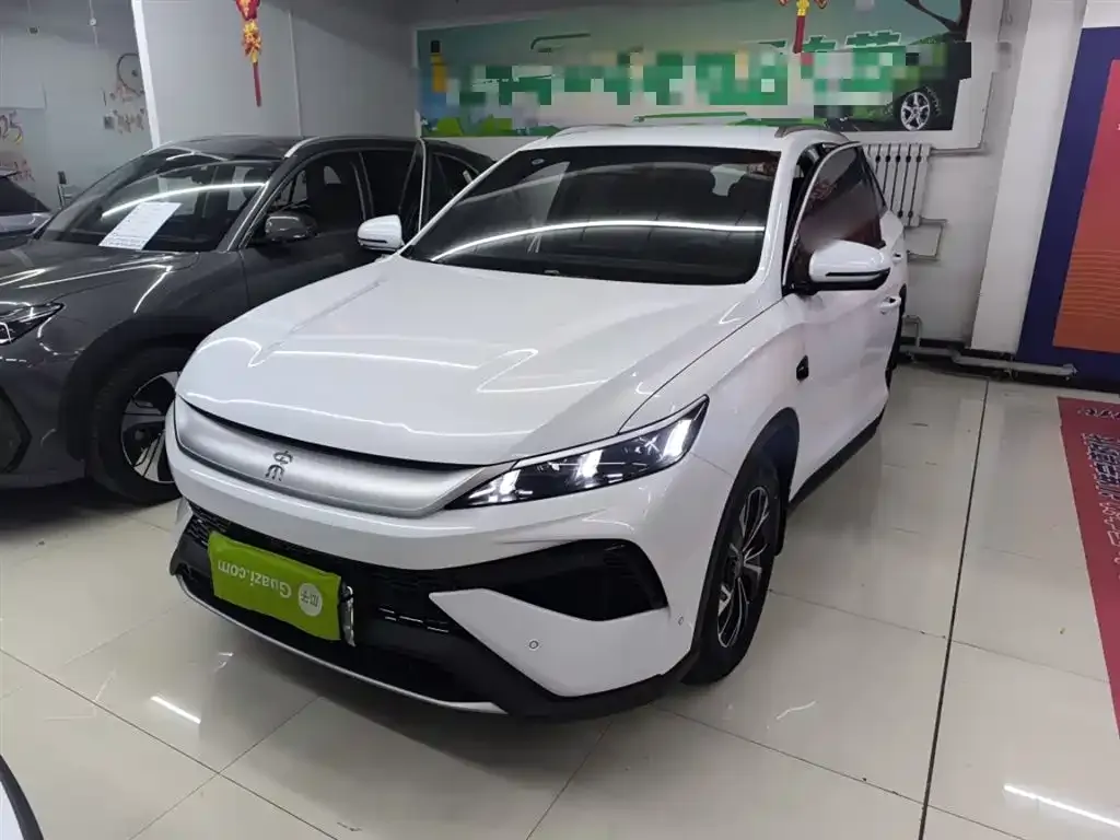 BYD Pro New Energy — фото 9