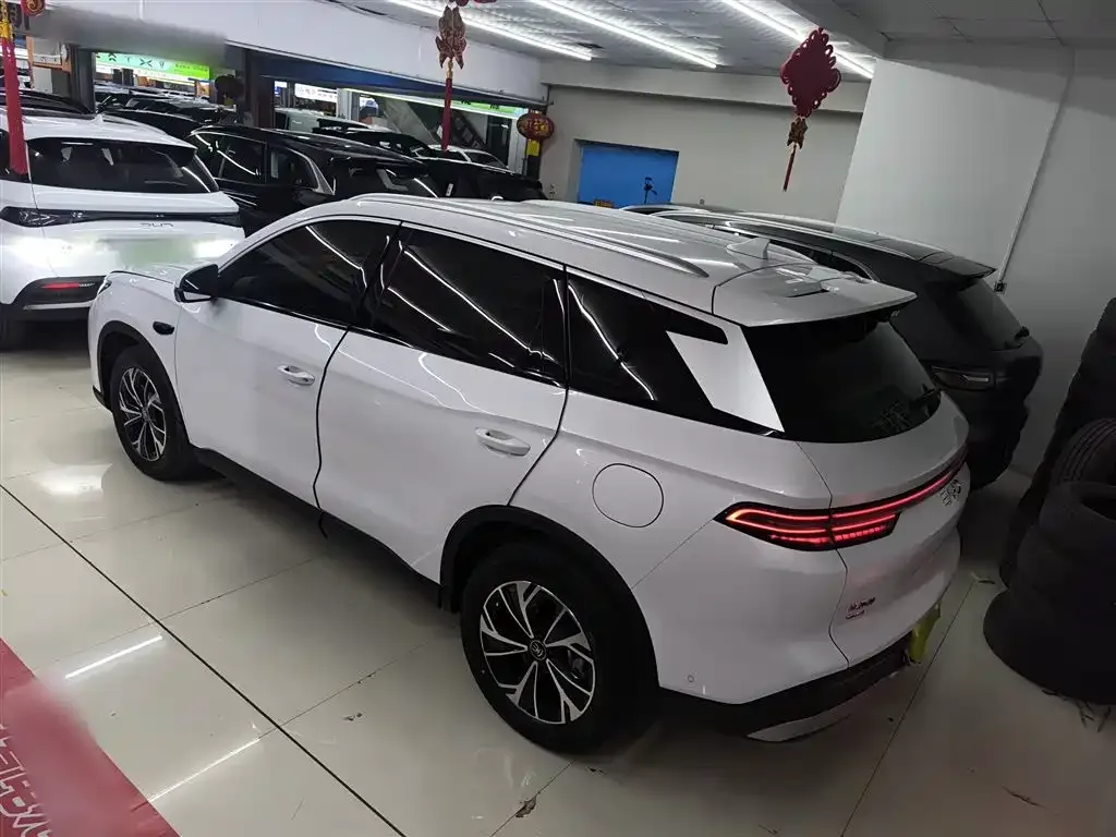 BYD Pro New Energy — фото 3