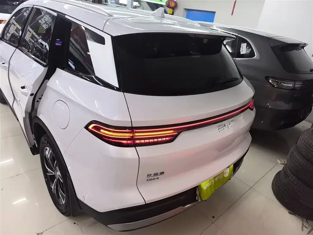 BYD Pro New Energy — фото 4