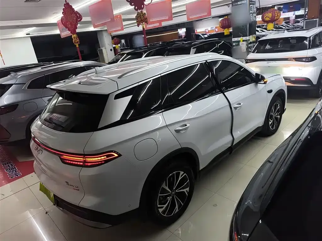 BYD Pro New Energy — фото 6