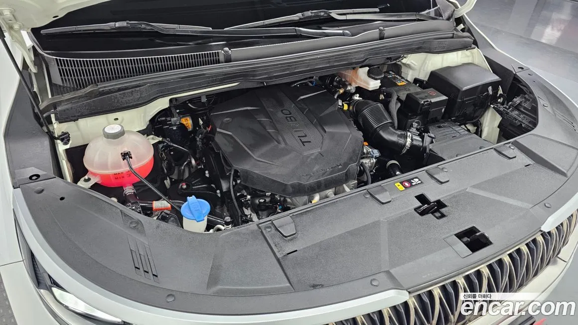 Kia Carnival — фото 10