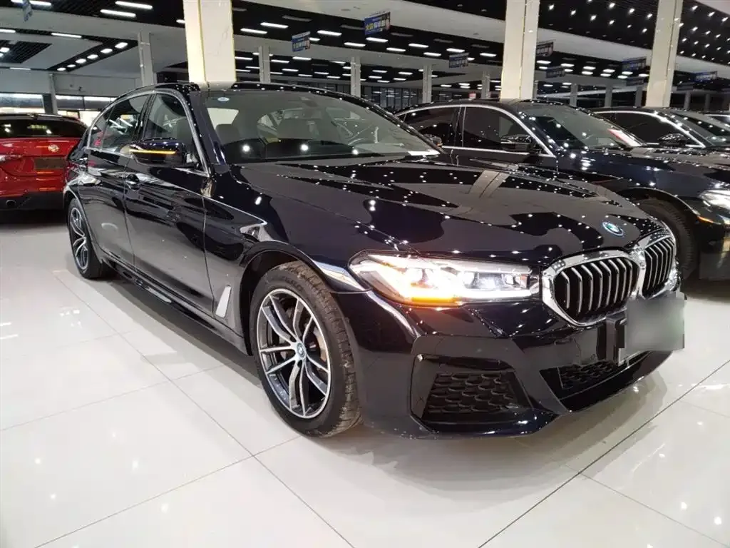 BMW 5 Series New Energy — фото 9