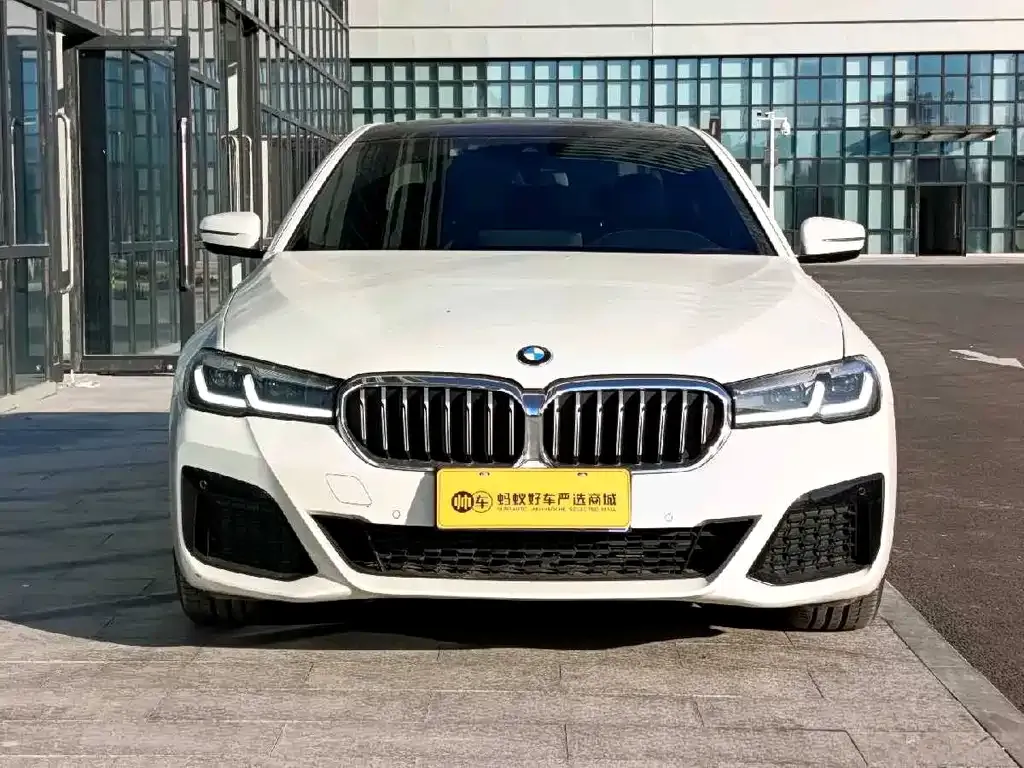 BMW 5 Series (Import) — фото 6