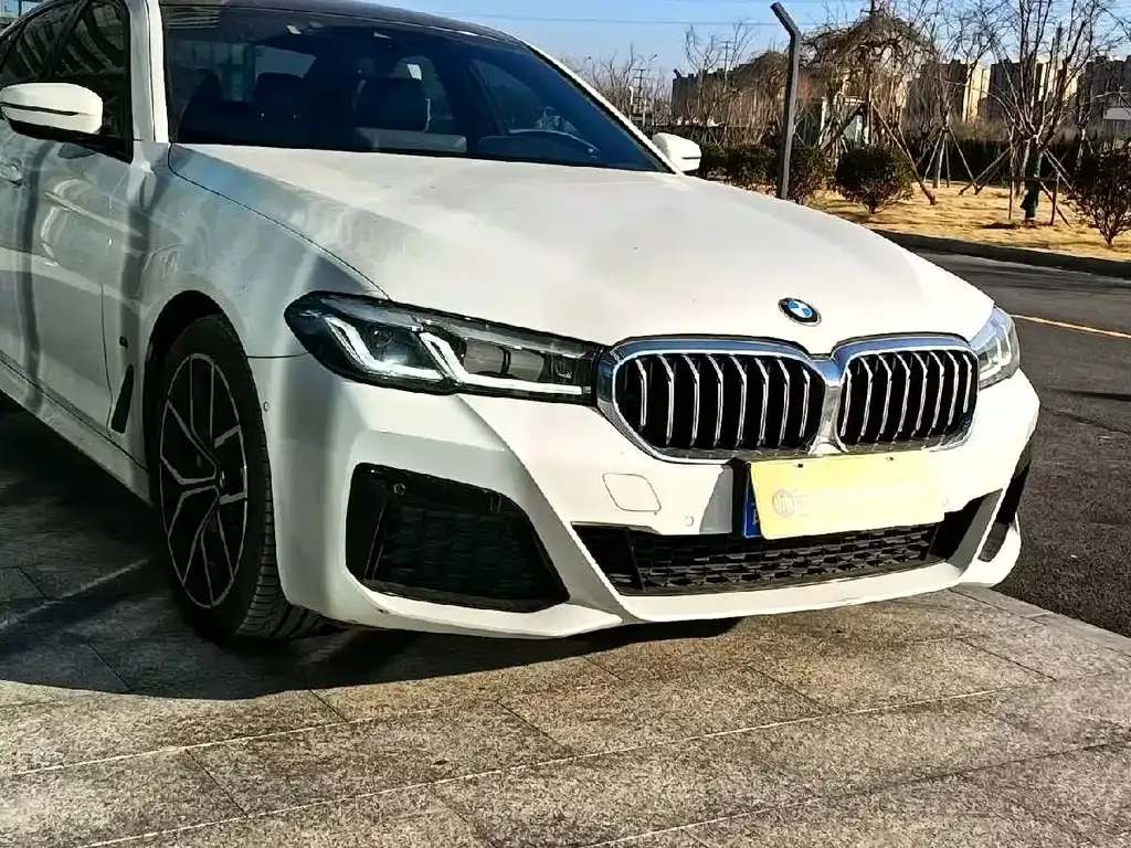 BMW 5 Series (Import) — фото 7