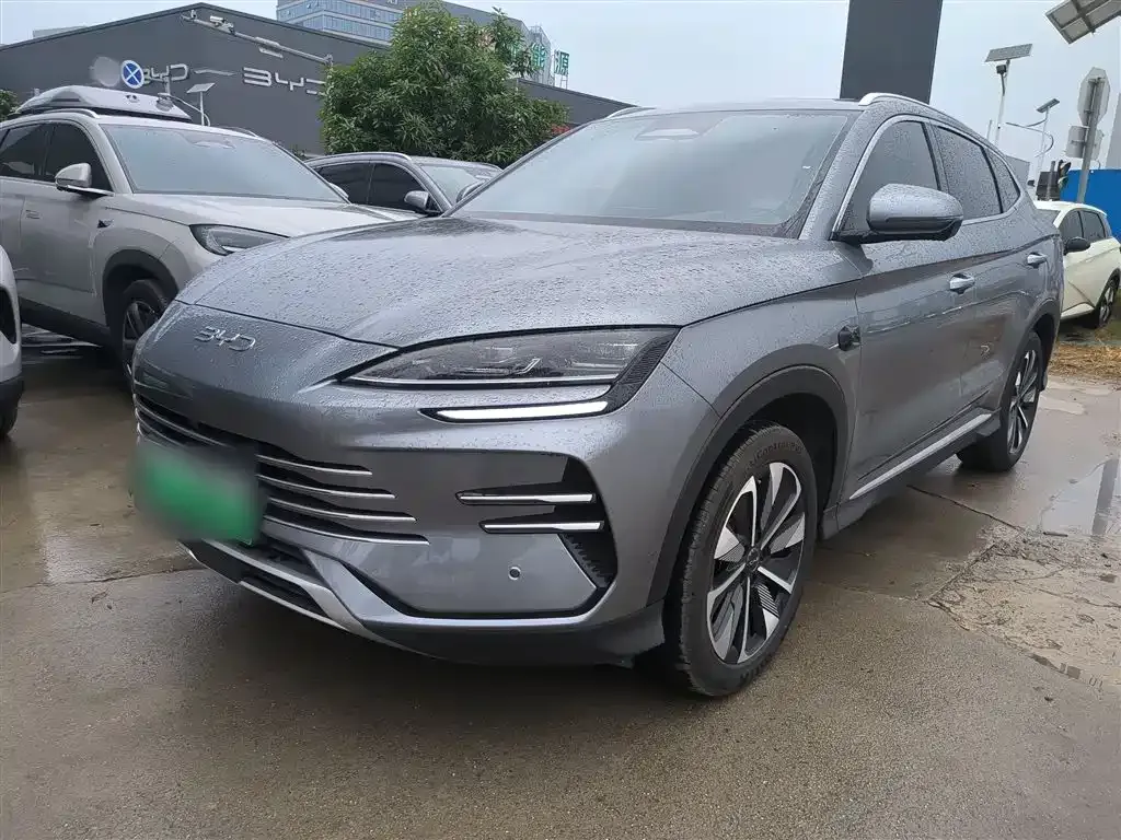 BYD PLUS New Energy — фото 2