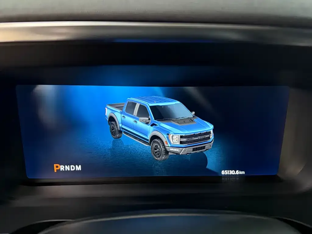 Ford F-150 Raptor — фото 8
