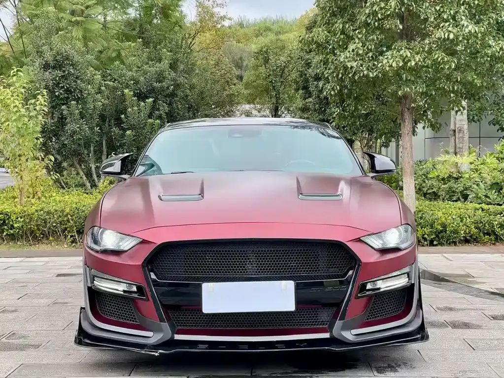 Ford Mustang — фото 1