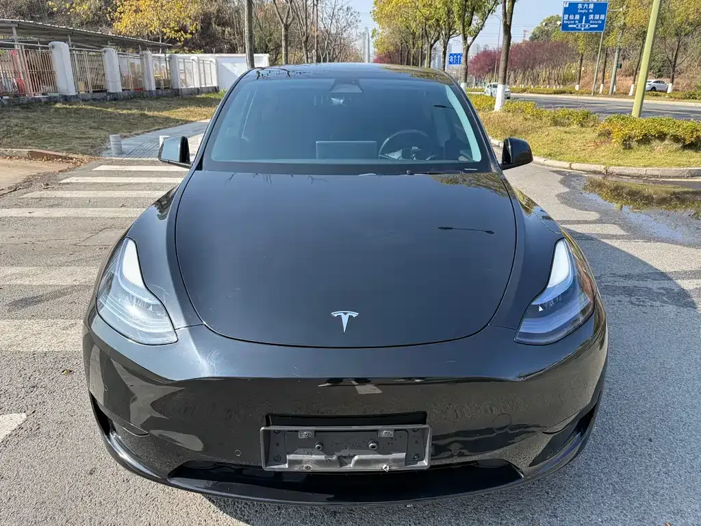 Tesla Model Y — фото 5