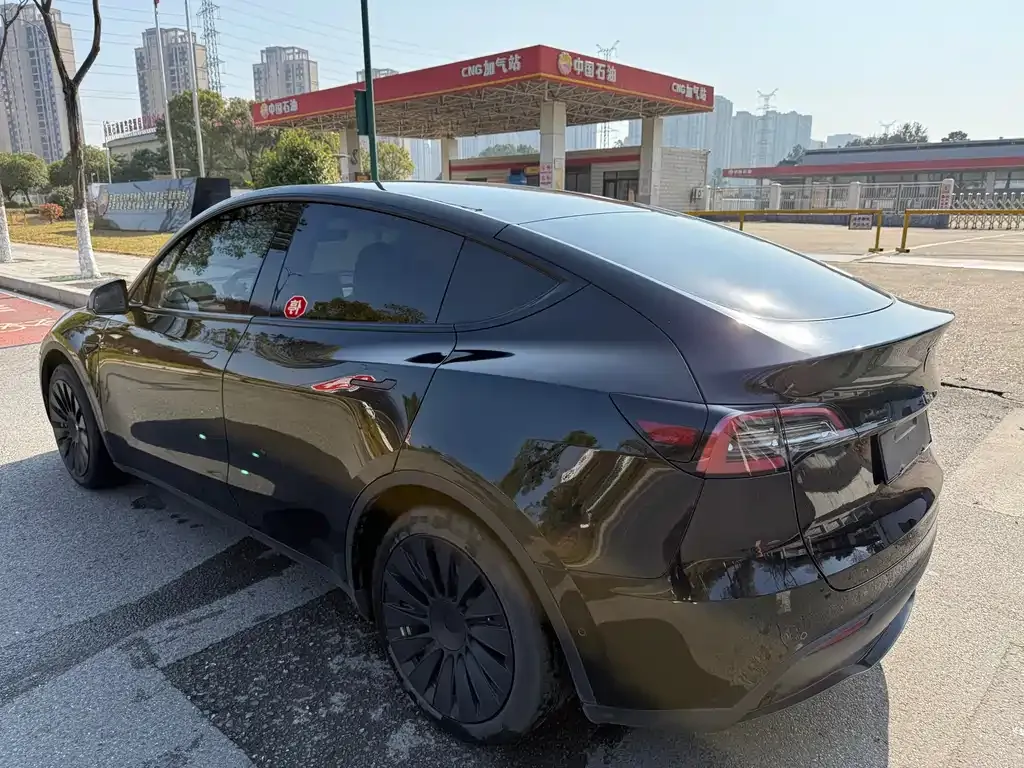 Tesla Model Y — фото 4