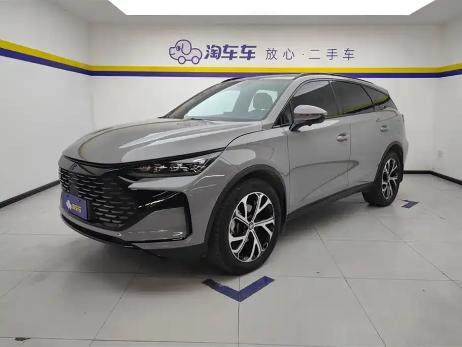 BYD Tang New Energy — фото 1