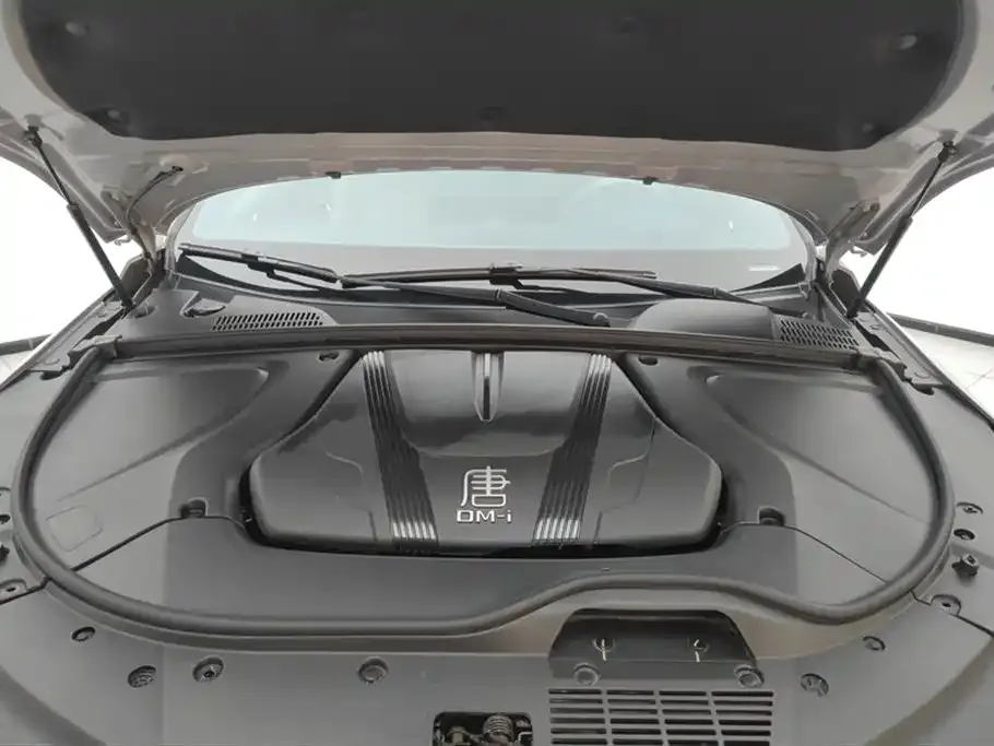 BYD Tang New Energy — фото 10