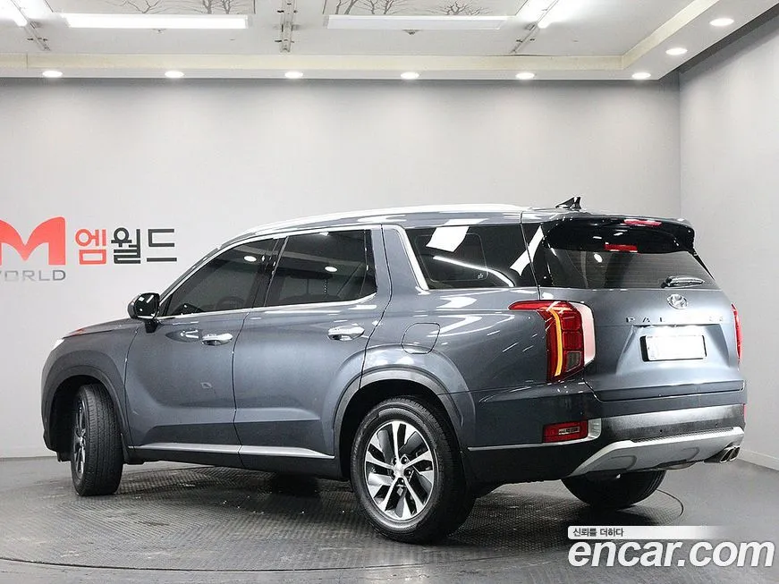 Hyundai Palisade — фото 10