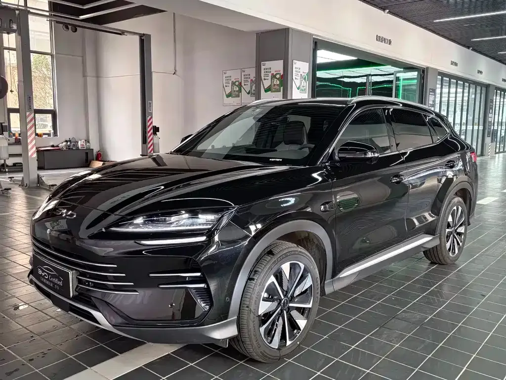 BYD PLUS New Energy — фото 1