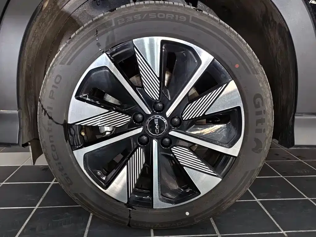 BYD PLUS New Energy — фото 4