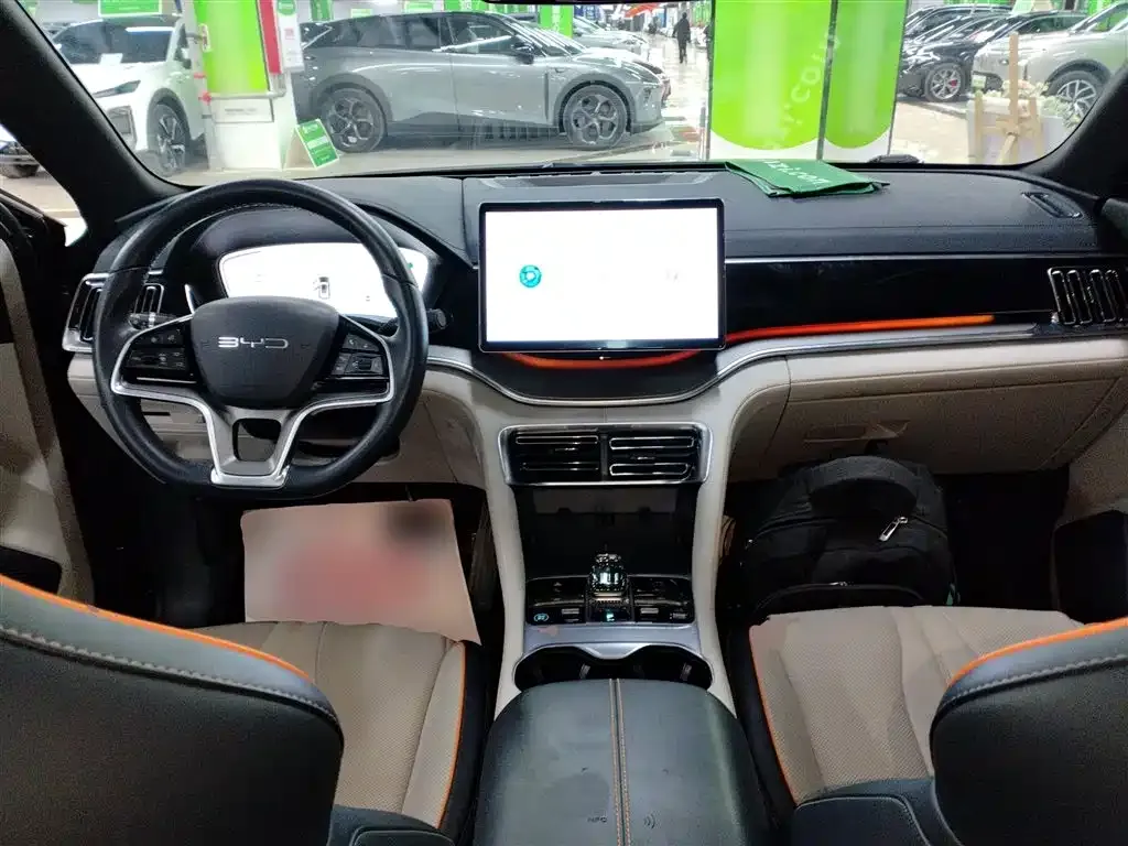 BYD PLUS New Energy — фото 10