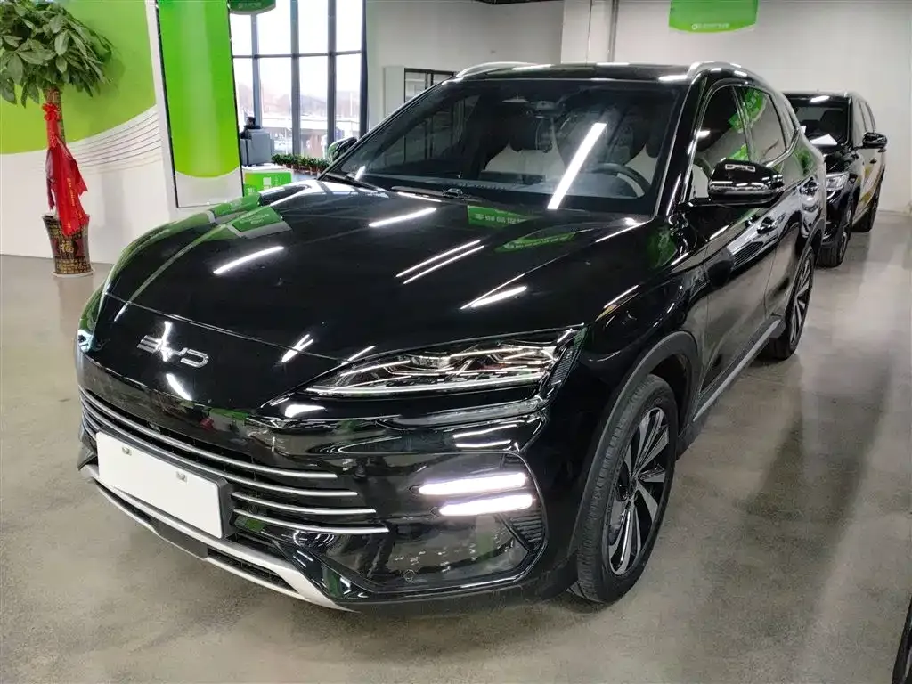 BYD PLUS New Energy — фото 3