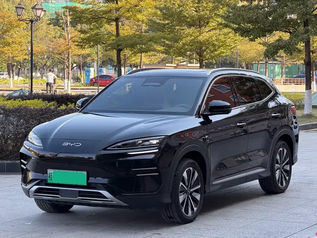 BYD PLUS New Energy — фото 1