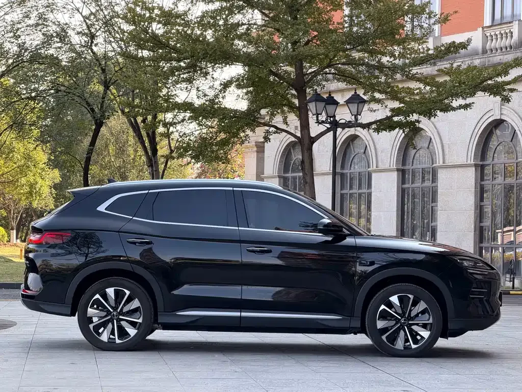 BYD PLUS New Energy — фото 8