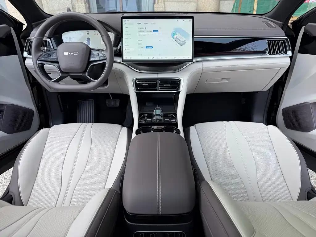 BYD PLUS New Energy — фото 3