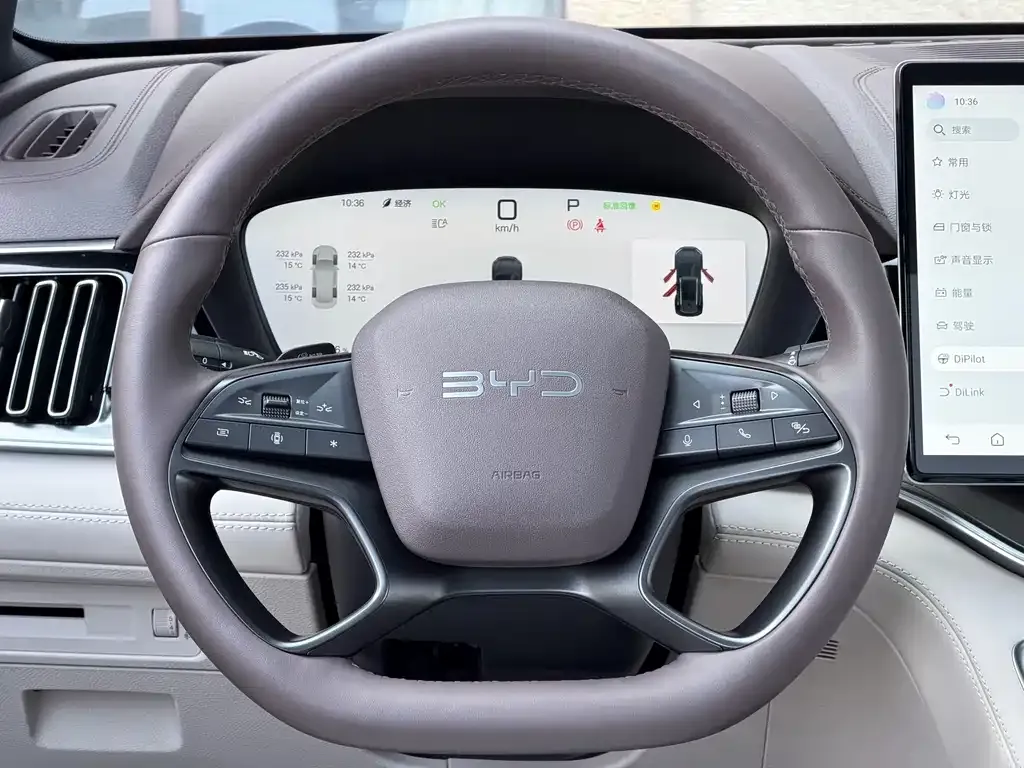 BYD PLUS New Energy — фото 6