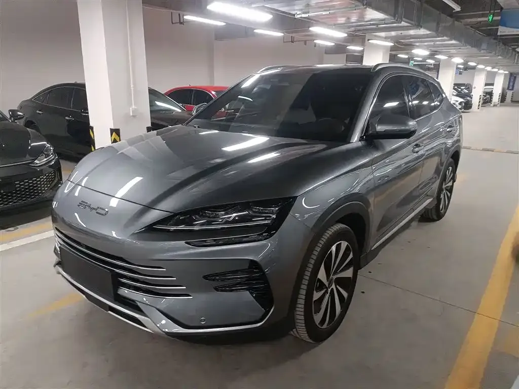 BYD PLUS New Energy — фото 1