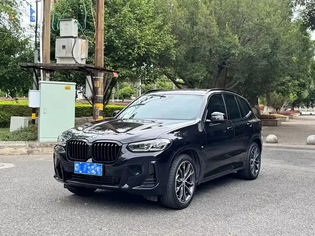 BMW X3 — фото 1