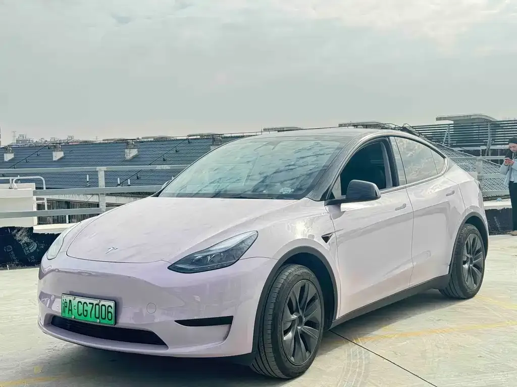 Tesla Model Y — фото 1