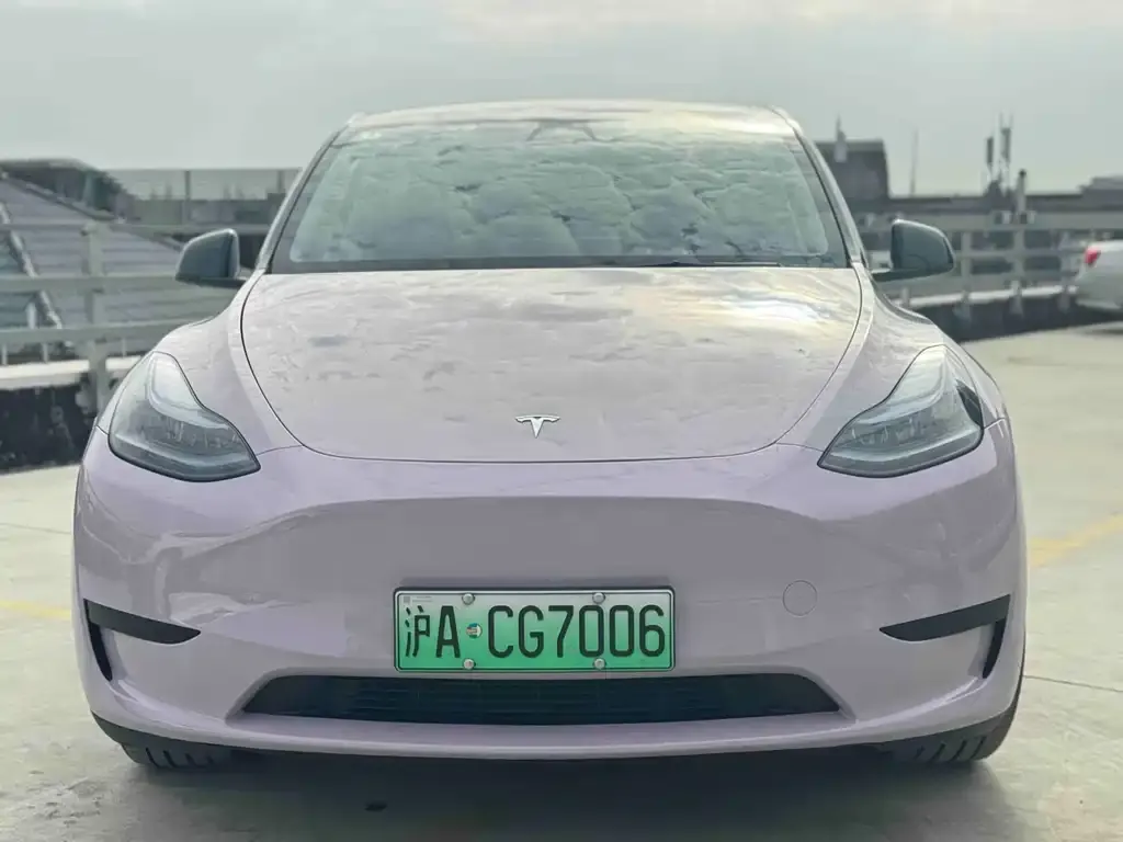 Tesla Model Y — фото 2