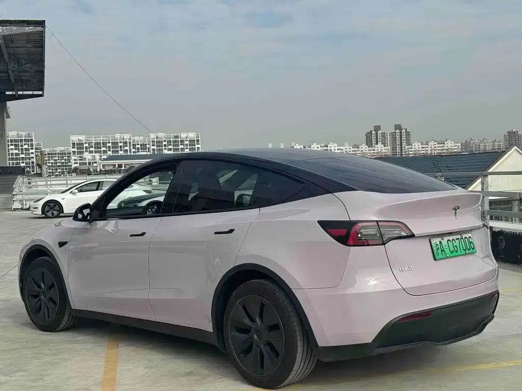 Tesla Model Y — фото 7