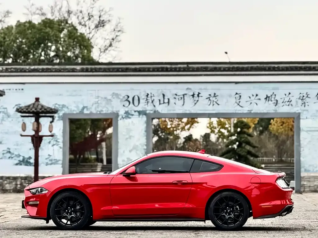 Ford Mustang — фото 6