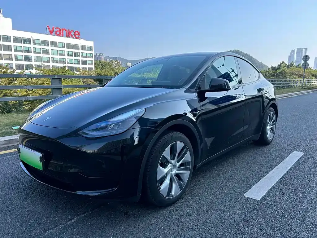Tesla Model Y — фото 1