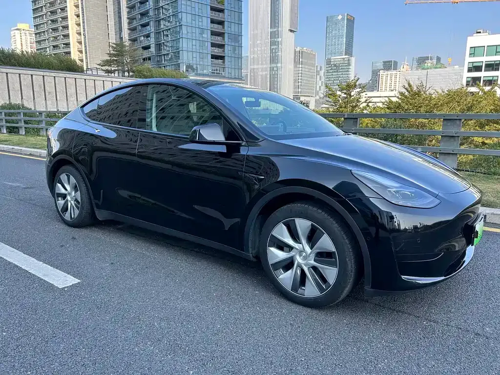 Tesla Model Y — фото 5