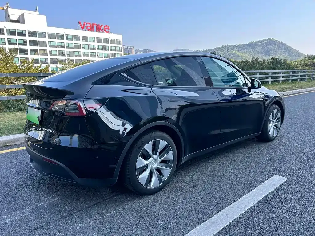 Tesla Model Y — фото 4