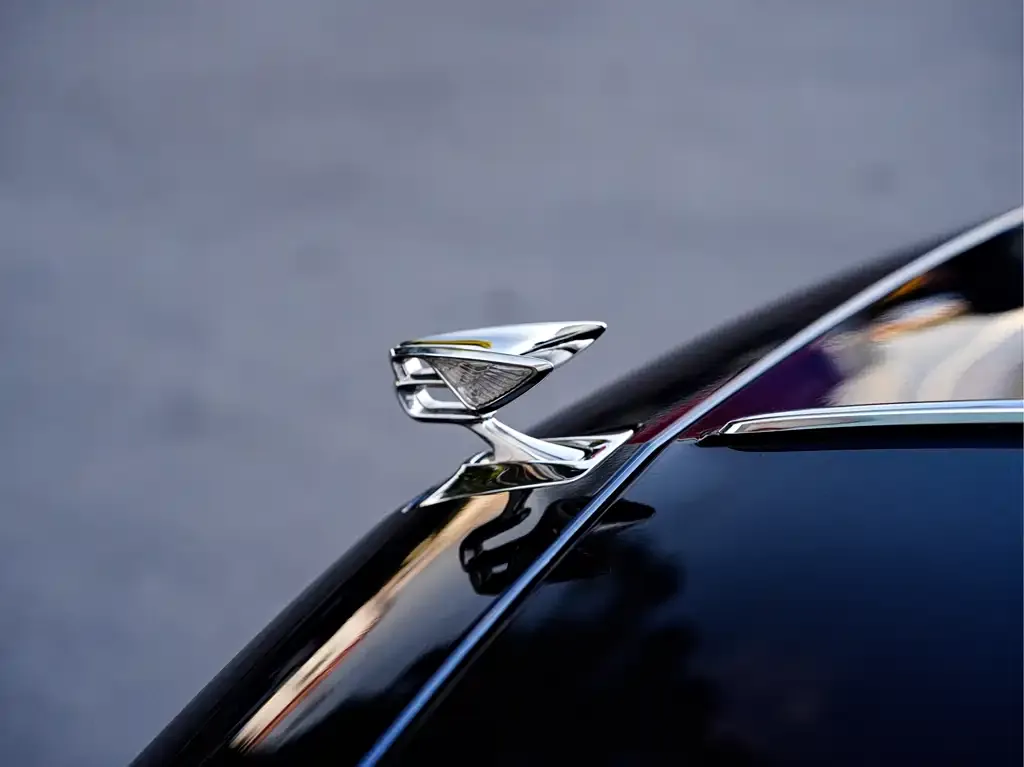 Bentley Flying Spur — фото 4